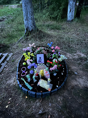 Памятник собаке на краю леса поссорил интернет-пользователей